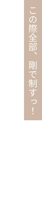 この際全部、剛で制すっ！