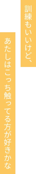 訓練もいいけど、あたしはこっち触ってる方が好きかな