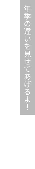 年季の違いを見せてあげるよ！