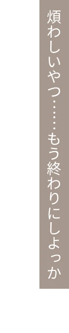 煩わしいやつ……もう終わりにしよっか