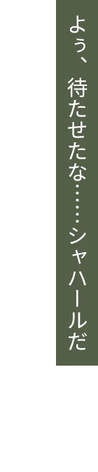 よぅ、待たせたな……シャハールだ