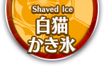 白猫かき氷