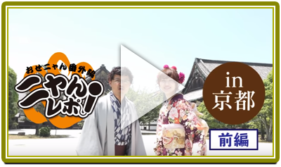 ニャんレポ！in京都 おいでやす、京都・白猫の旅 前編