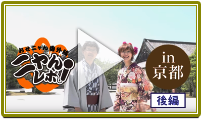 ニャんレポ！in京都 おいでやす、京都・白猫の旅 後編