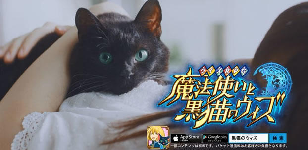 クイズRPG 魔法使いと黒猫のウィズ スマートフォンゲーム