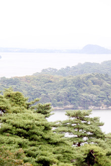 022_matsushima_01_01.jpg