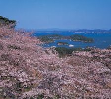 022_matsushima_07_re.jpg