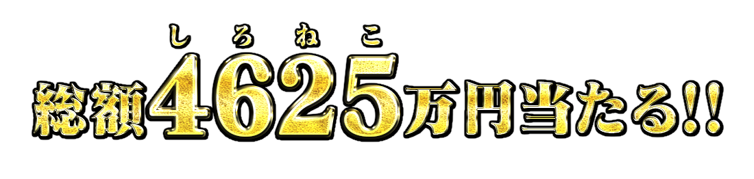 総額4625（しろねこ）万円当たる！！