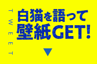 白猫を語って応募する！