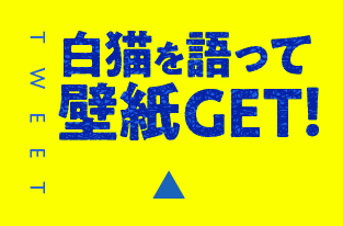 白猫を語って応募する！