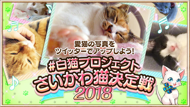 さいかわ猫決定戦2018開催決定！